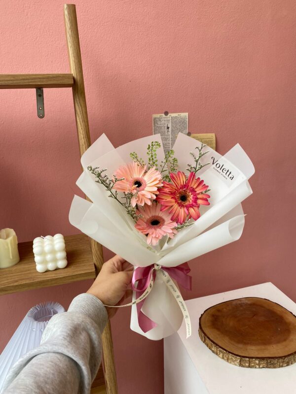 Gerbera