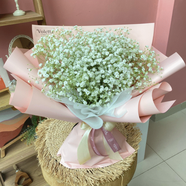 Medium Baby's Breath