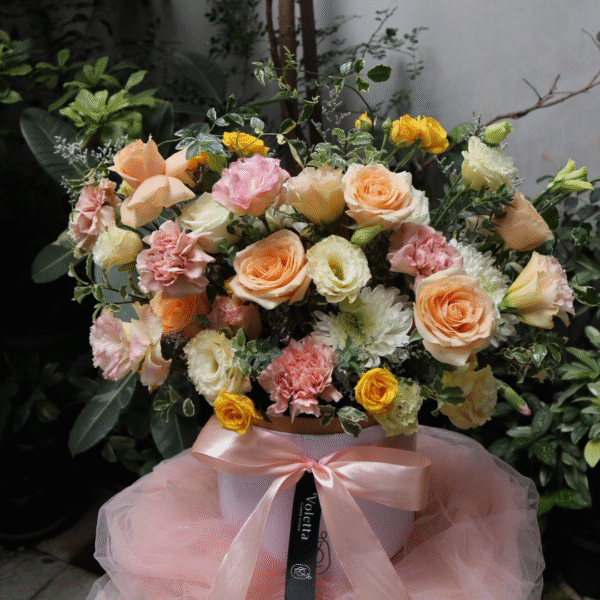 Peach Venice