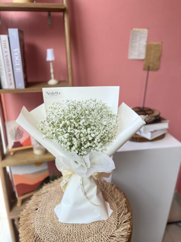 Baby's Breath