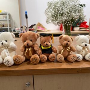 Add on Teddy Besar Polos