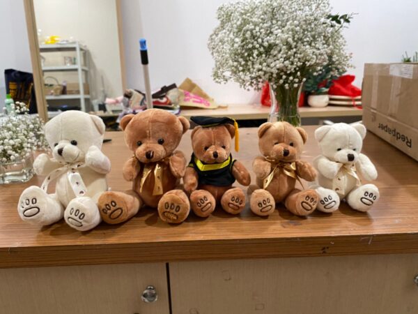 Add on Teddy Kecil Polos