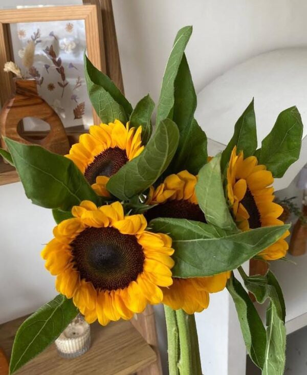 Add on Sunflower